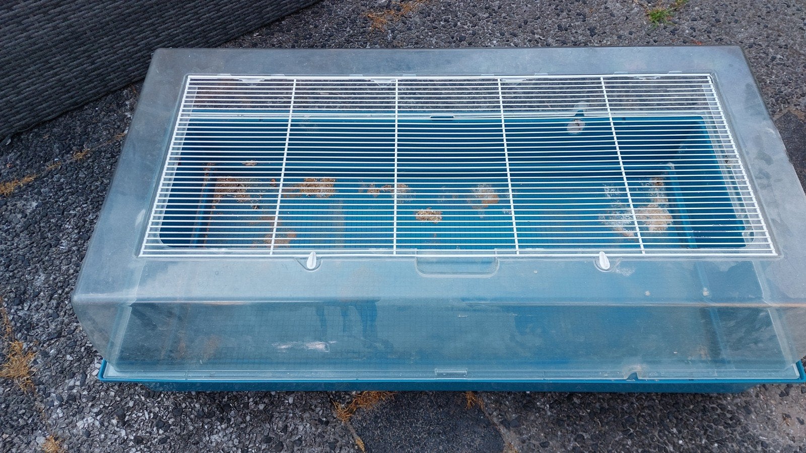 Gratis grote knaagdieren kooi, Kooi, Gebruikt, Muis, 75 tot 110 cm