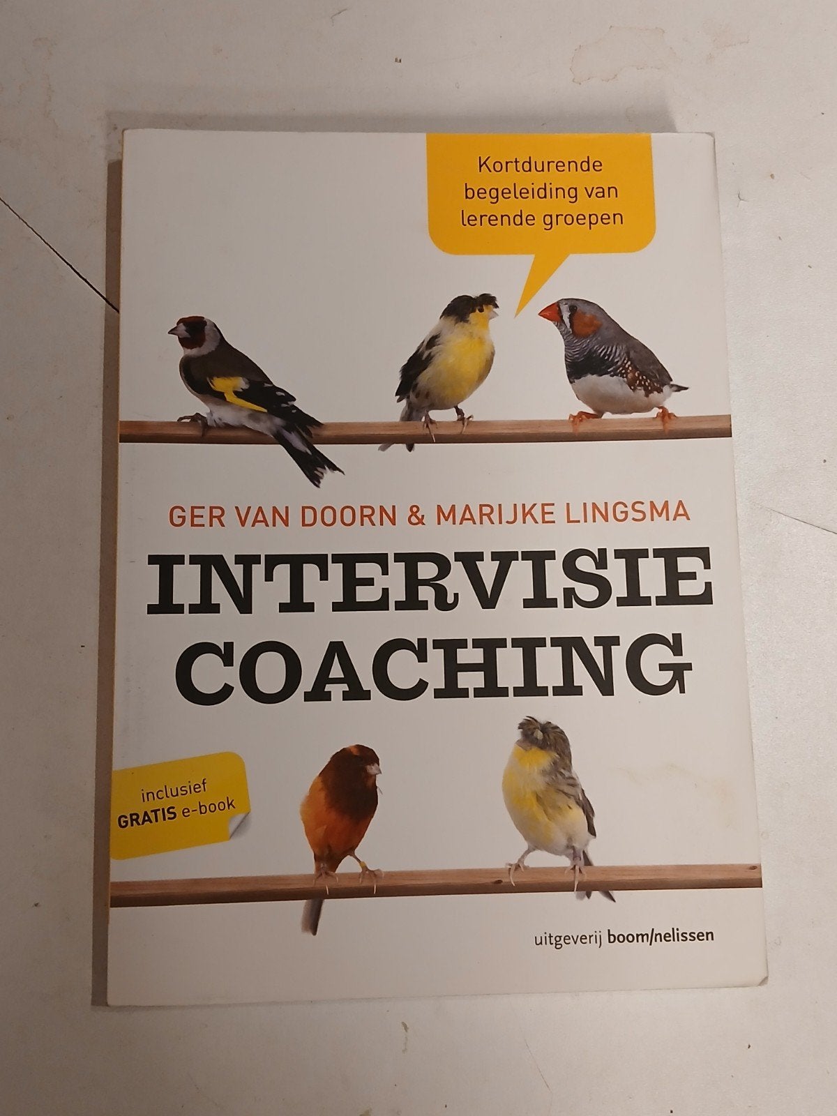 Intervisiecoaching, Ophalen of Verzenden, Ger van Doorn; Marijke Lingsma