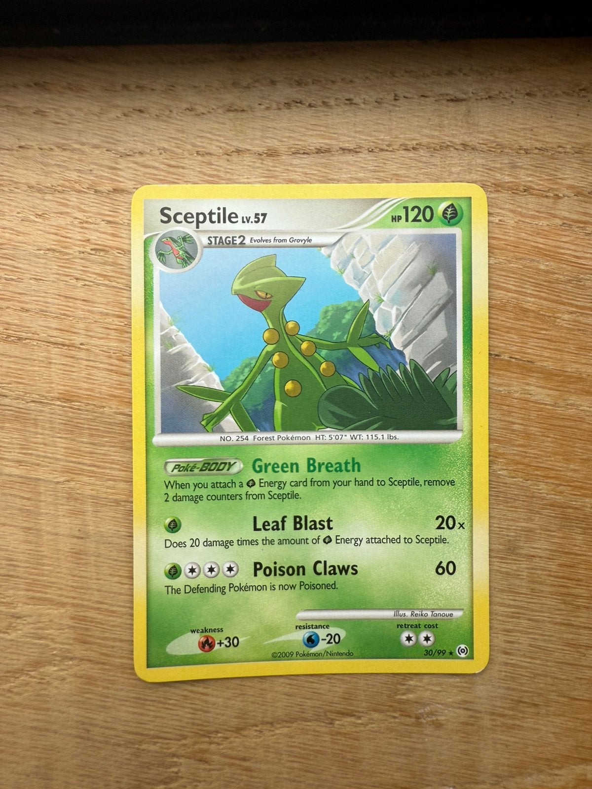 Sceptile Lv.57 #30/99, Ophalen of Verzenden, Losse kaart