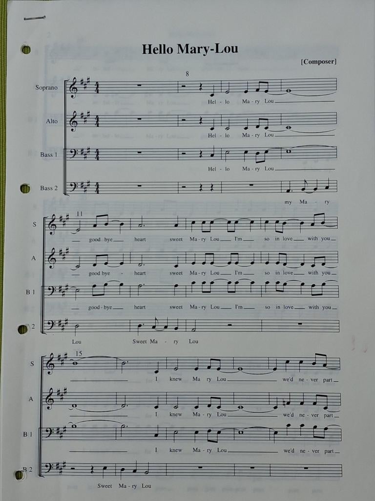Bladmuziek  Smartlap/Evergreens 3/4 stemmig zang  s (map2), Muziek en Instrumenten, Bladmuziek, Zang, Ophalen of Verzenden, Zo goed als nieuw