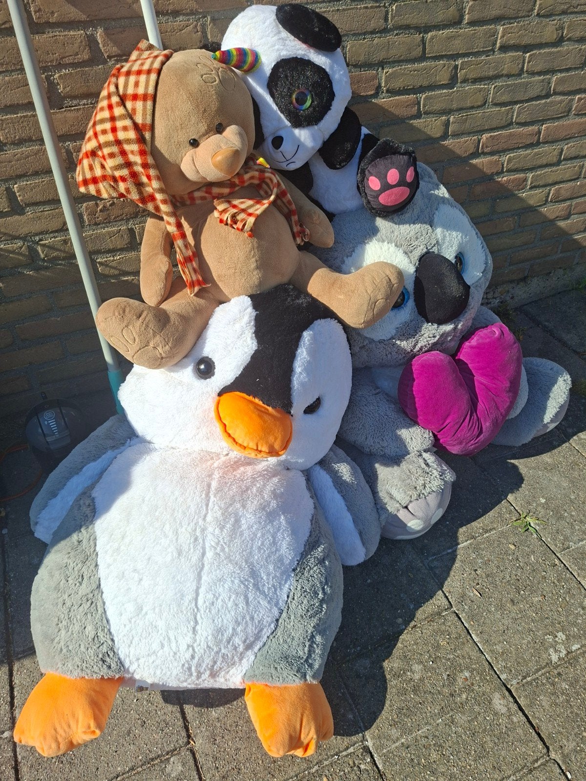 Grote knuffels: Pinguïn, Panda en Beer, Ophalen, Pinguïn, Gebruikt, Middelgroot (20 tot 80 cm)