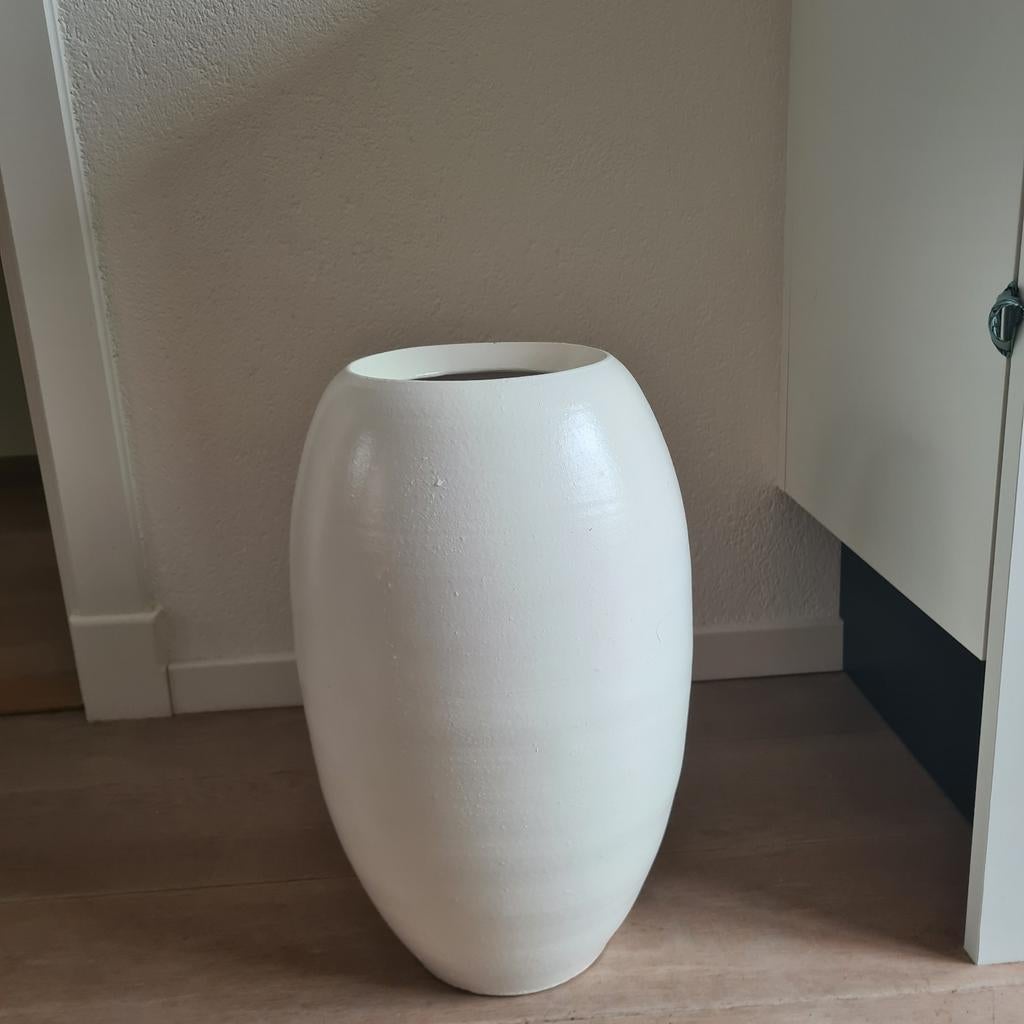 grote witte vaas, Huis en Inrichting, Kamerplanten, Ophalen, Halfschaduw, Minder dan 100 cm