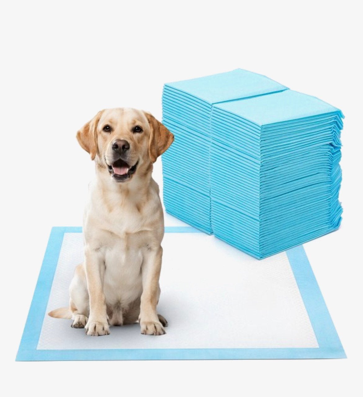 Trainingsmatjes voor puppy's, Dieren en Toebehoren, Honden-accessoires, Ophalen, Zo goed als nieuw