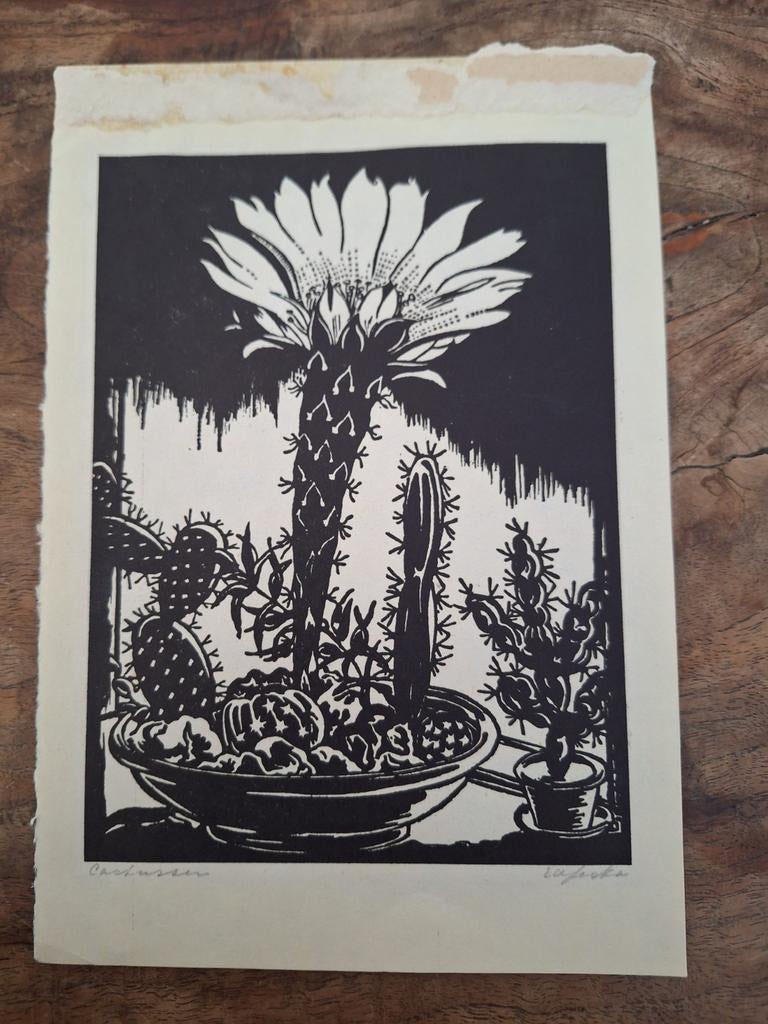 Ed Jeska - Cactussen, Antiek en Kunst, Kunst | Etsen en Gravures, Zeefdruk, Gesigneerd, Flora en Fauna, 1950 - 1999, Ophalen of Verzenden