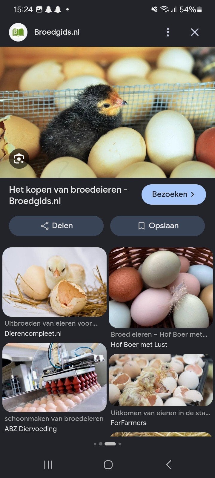 GEZOCHT broedeieren voor broedmachine, Dieren en Toebehoren, Ophalen of Verzenden, Broedmachine
