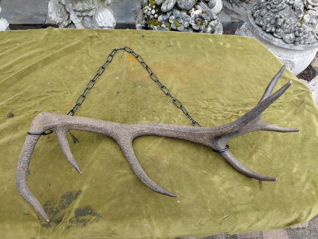Hertengewei, Edelhert geweistang aan hangketting., Ophalen of Verzenden, Gebruikt, Hert, Gewei of Kop