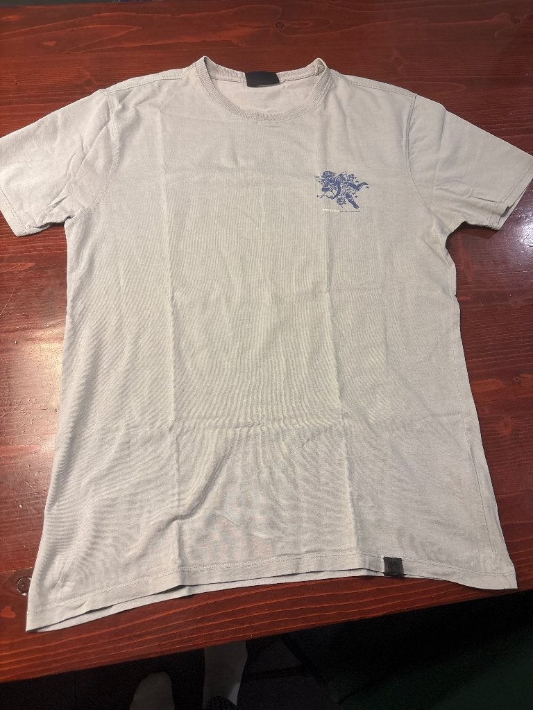 T shirt ashes to dust, Ophalen of Verzenden, Gedragen, Maat 48/50 (M), Grijs