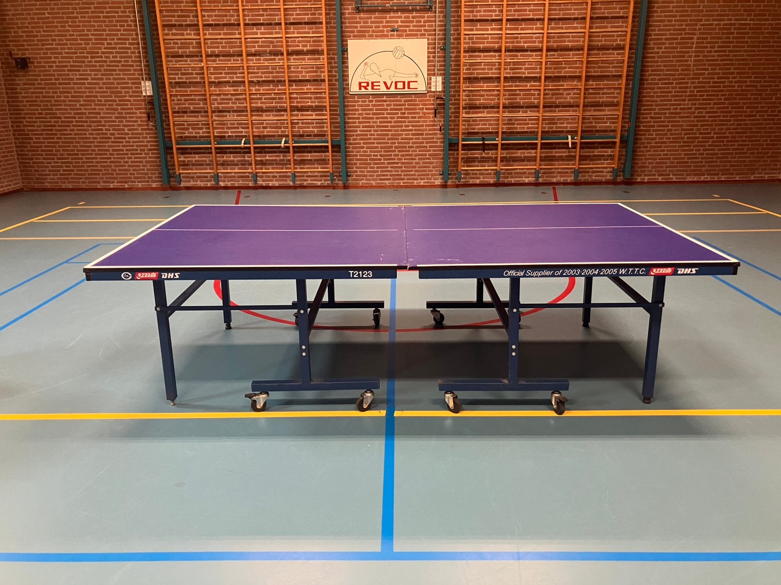 DHS T2123 tafeltennistafel, Sport en Fitness, Tafeltennis, Ophalen, Zo goed als nieuw, Tafel Indoor