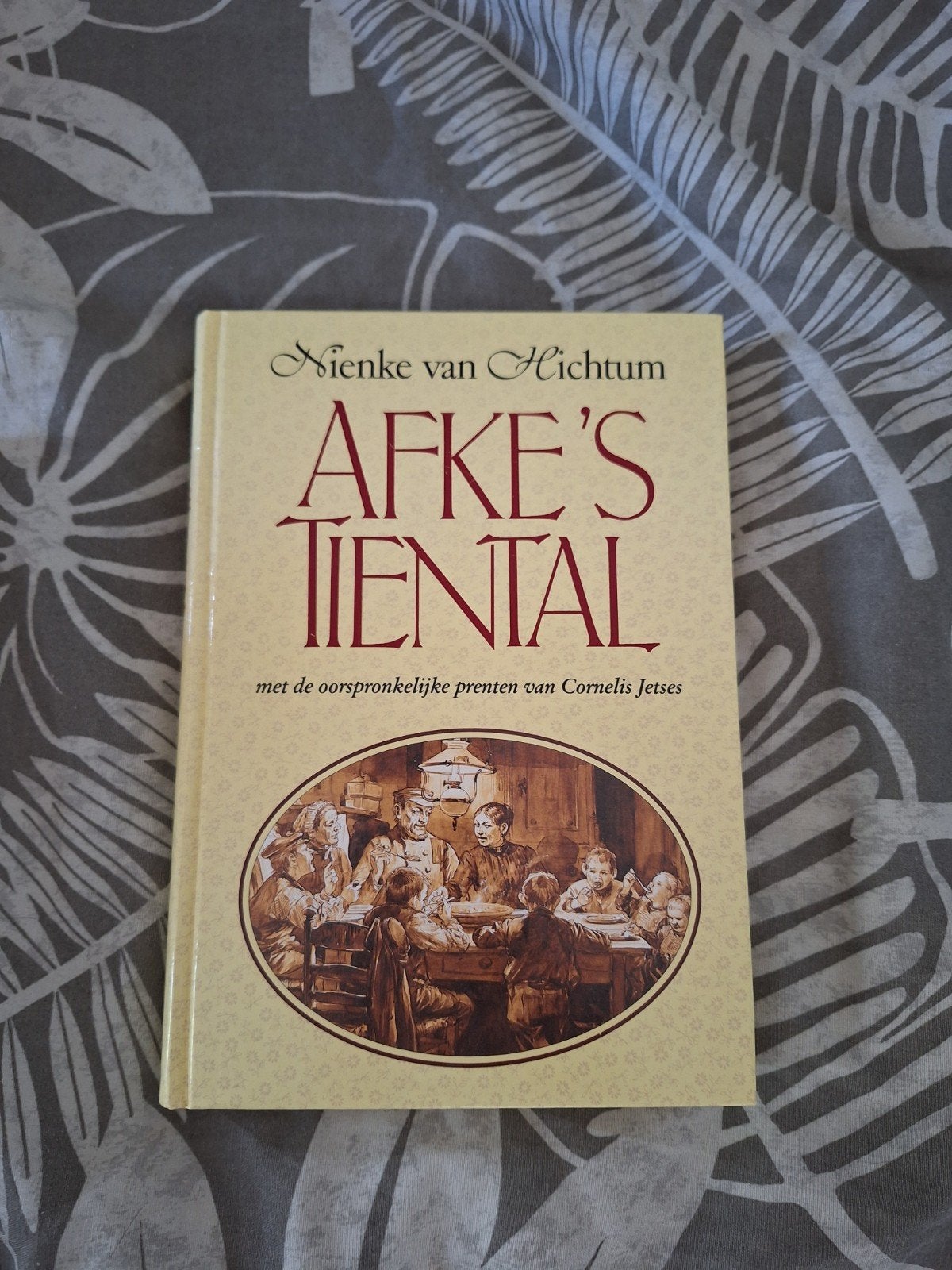 Afke's Tiental - Nienke van Hichtum (met prenten), Ophalen of Verzenden, Zo goed als nieuw, Nienke van Hichtum, Fictie algemeen
