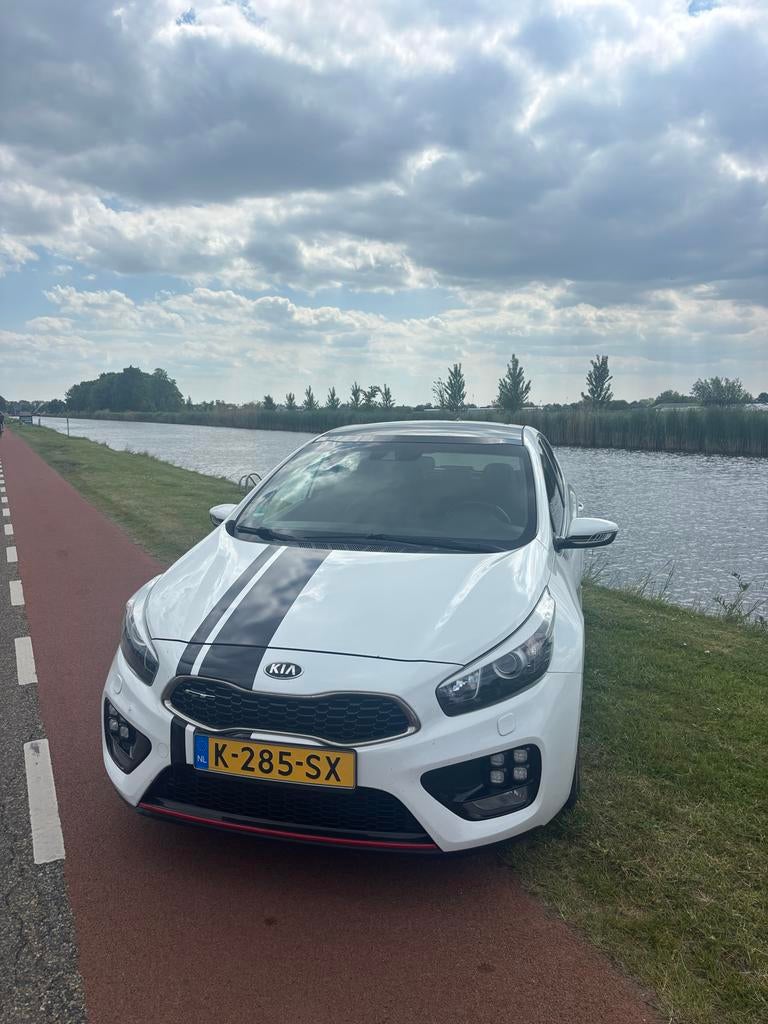 Sportieve Kia (Pro) Cee d 1.6T-GDI 5-D 2014 Wit, Auto's, Kia, Voorwielaandrijving, 1591 cc, 4 cilinders, Wit