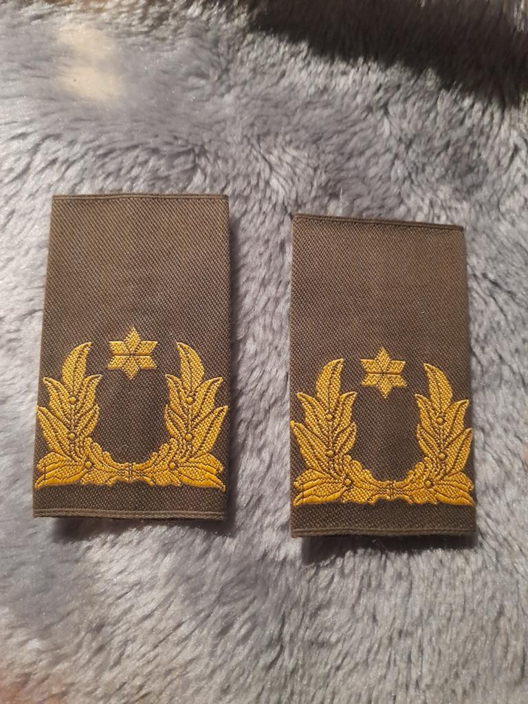 ROT generaal, Ophalen of Verzenden, Landmacht, Nederland, Embleem of Badge