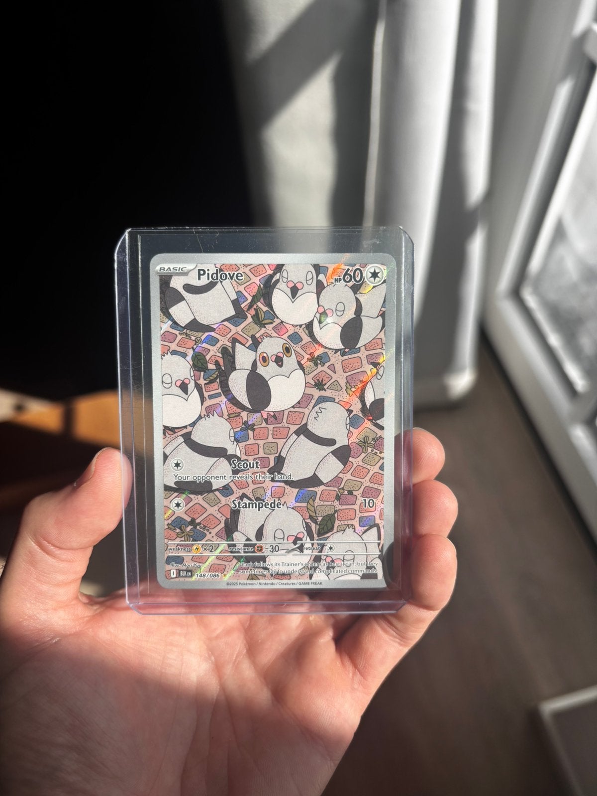 2 X - Pidove 148/086 - Black bolt, Ophalen of Verzenden, Zo goed als nieuw