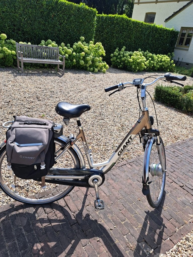 Elektrische Giant fiets, Ophalen, Gebruikt, 30 tot 50 km per accu, Giant