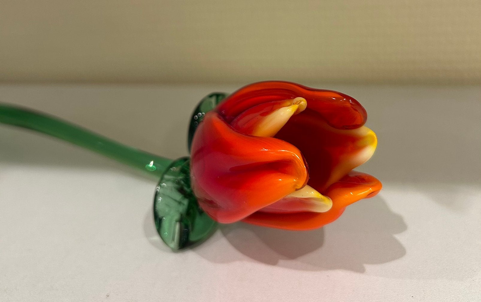 Mondgeblazen tulp, Ophalen of Verzenden, Zo goed als nieuw