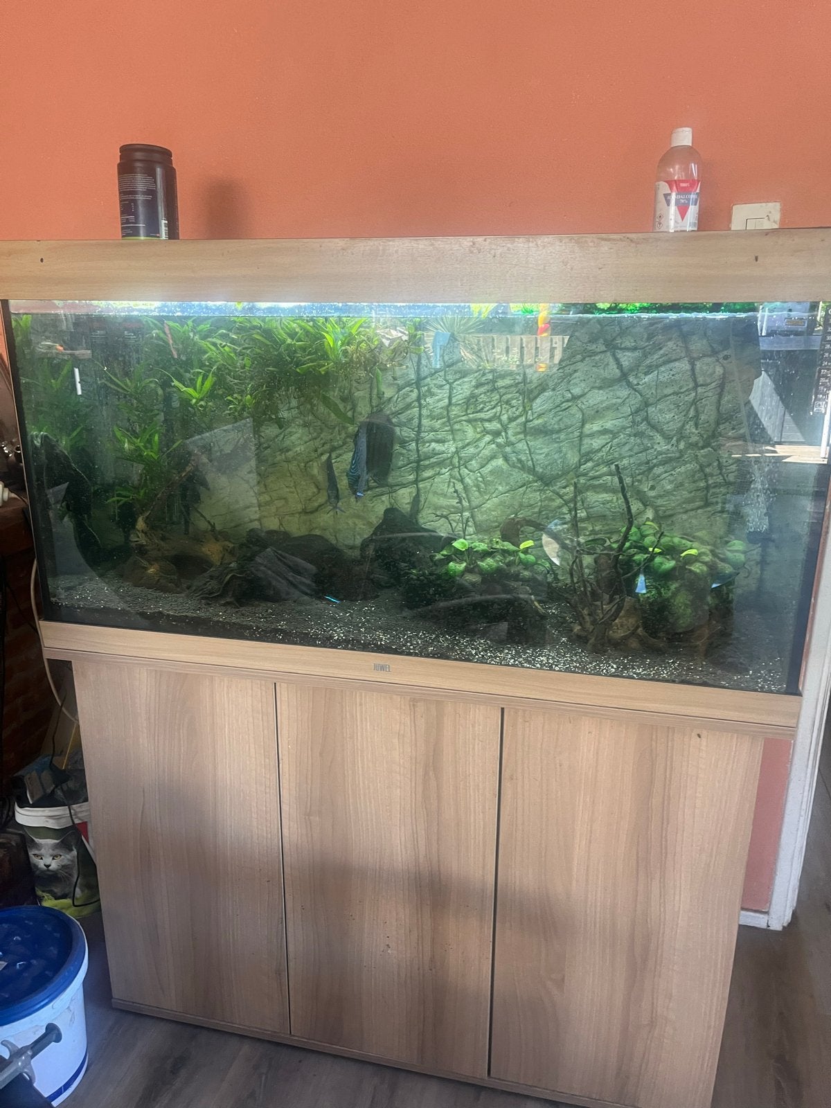 Aquarium, Ophalen, Zo goed als nieuw, Leeg aquarium