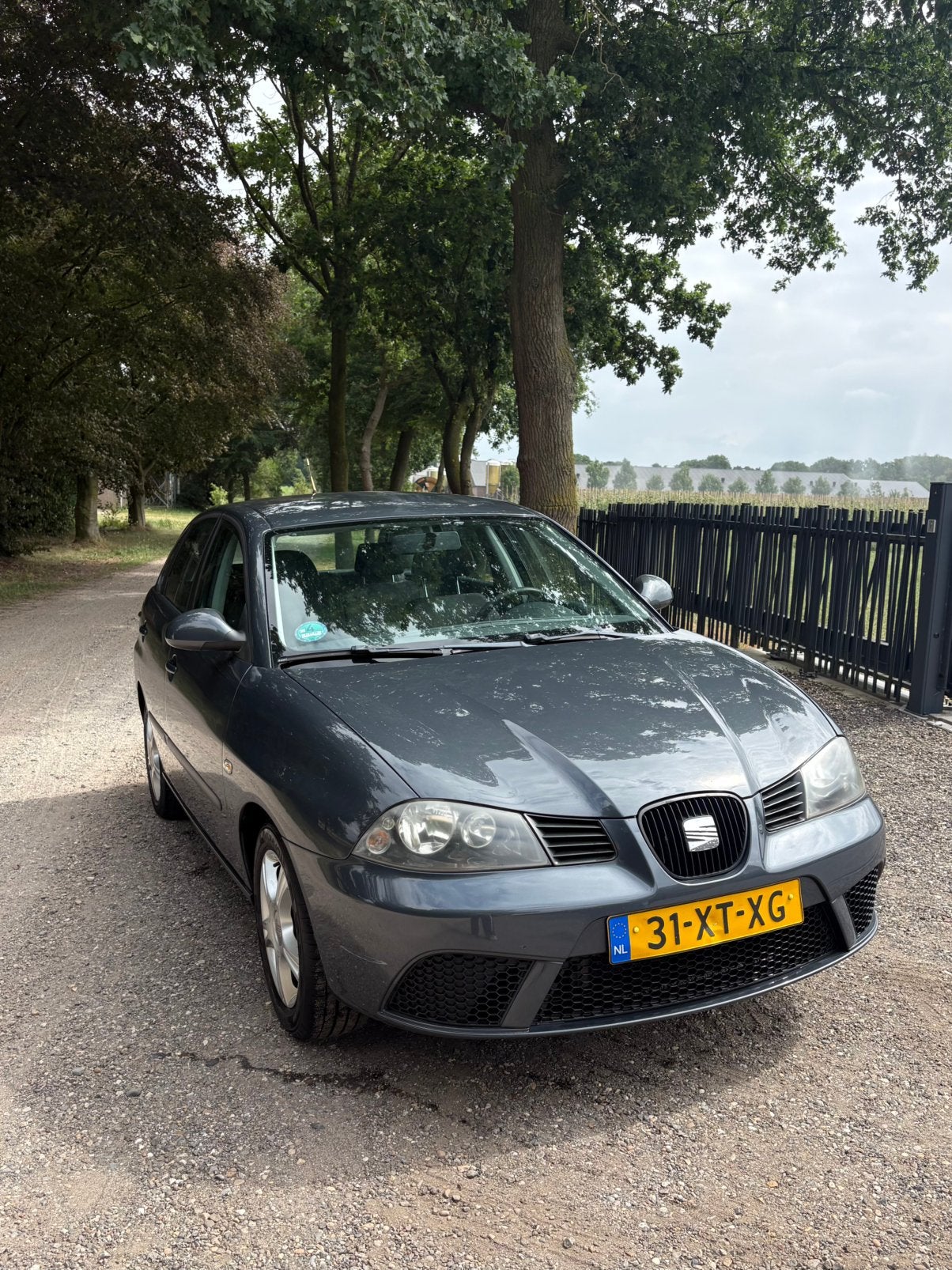 Seat Ibiza 1.4 16V 63KW 5DRS 2007 Grijs CRUISE CONTROL AIRCO, Auto's, Seat, Voorwielaandrijving, 15 km/l, 40 €/maand, Ibiza
