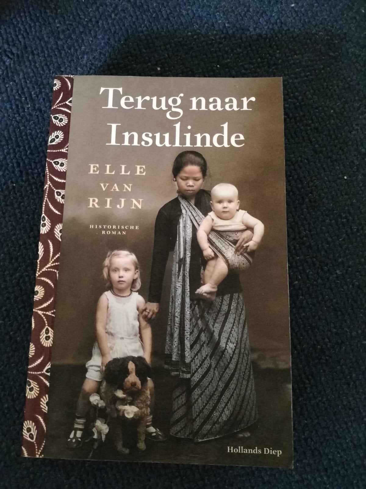 Terug naar Insulinde - Elle van Rijn, Boeken, Ophalen of Verzenden, Zo goed als nieuw, Elle van Rijn