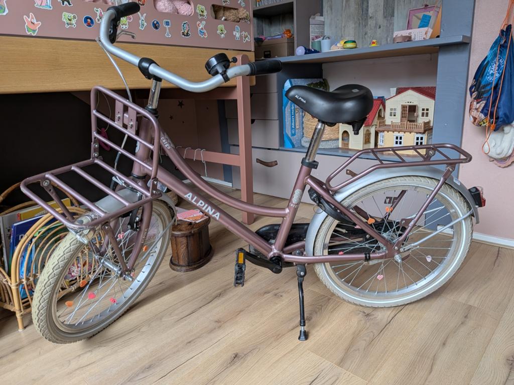 Alpina Cargo fiets, Fietsen en Brommers, Ophalen, Terugtraprem, Alpina, Zo goed als nieuw