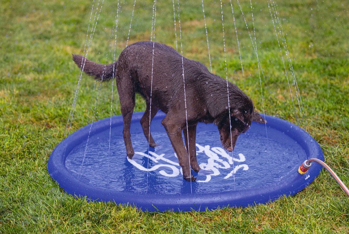Watermat hond, Tuin en Terras, Ophalen of Verzenden, Zo goed als nieuw