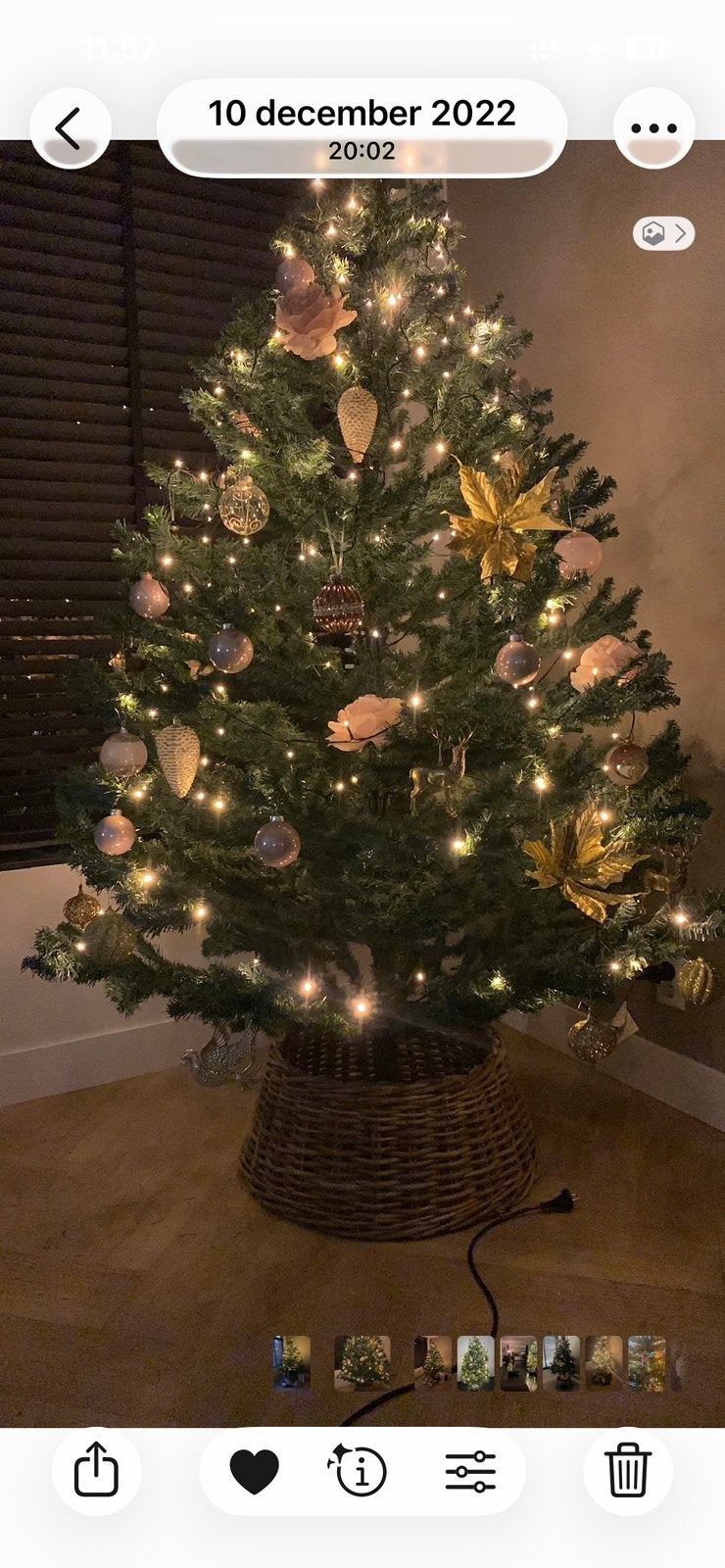 Kerstboom, Ophalen, Gebruikt