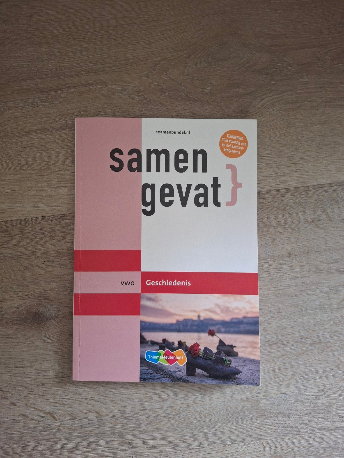 Samengevat vwo Geschiedenis, VWO, Geschiedenis, ThiemeMeulenhoff, Ophalen of Verzenden