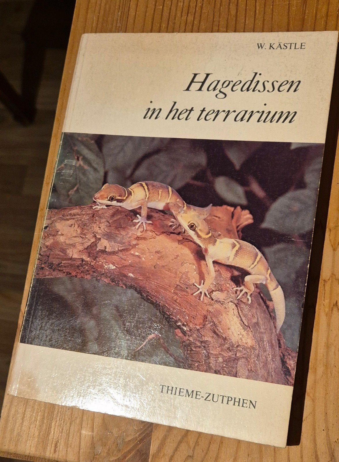 Hagedissen in het terrarium - W. Kästle, Verzenden, Gelezen, Reptielen of Amfibieën, W. Kästle