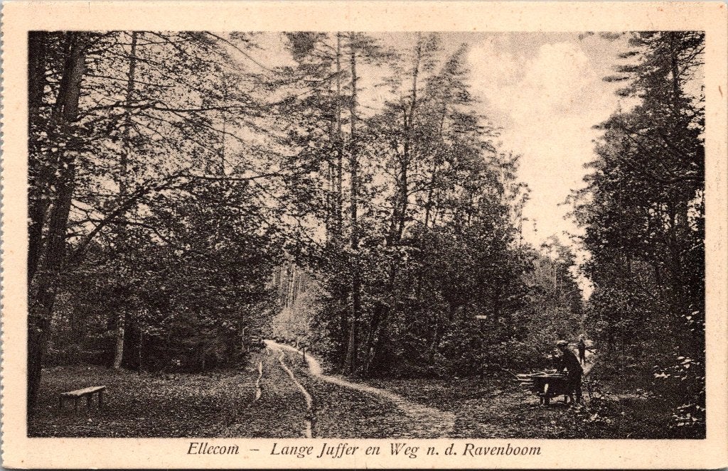 Ellecom - 12 antieke ansichtkaarten, Verzenden, Voor 1920, Gelopen, Gelderland