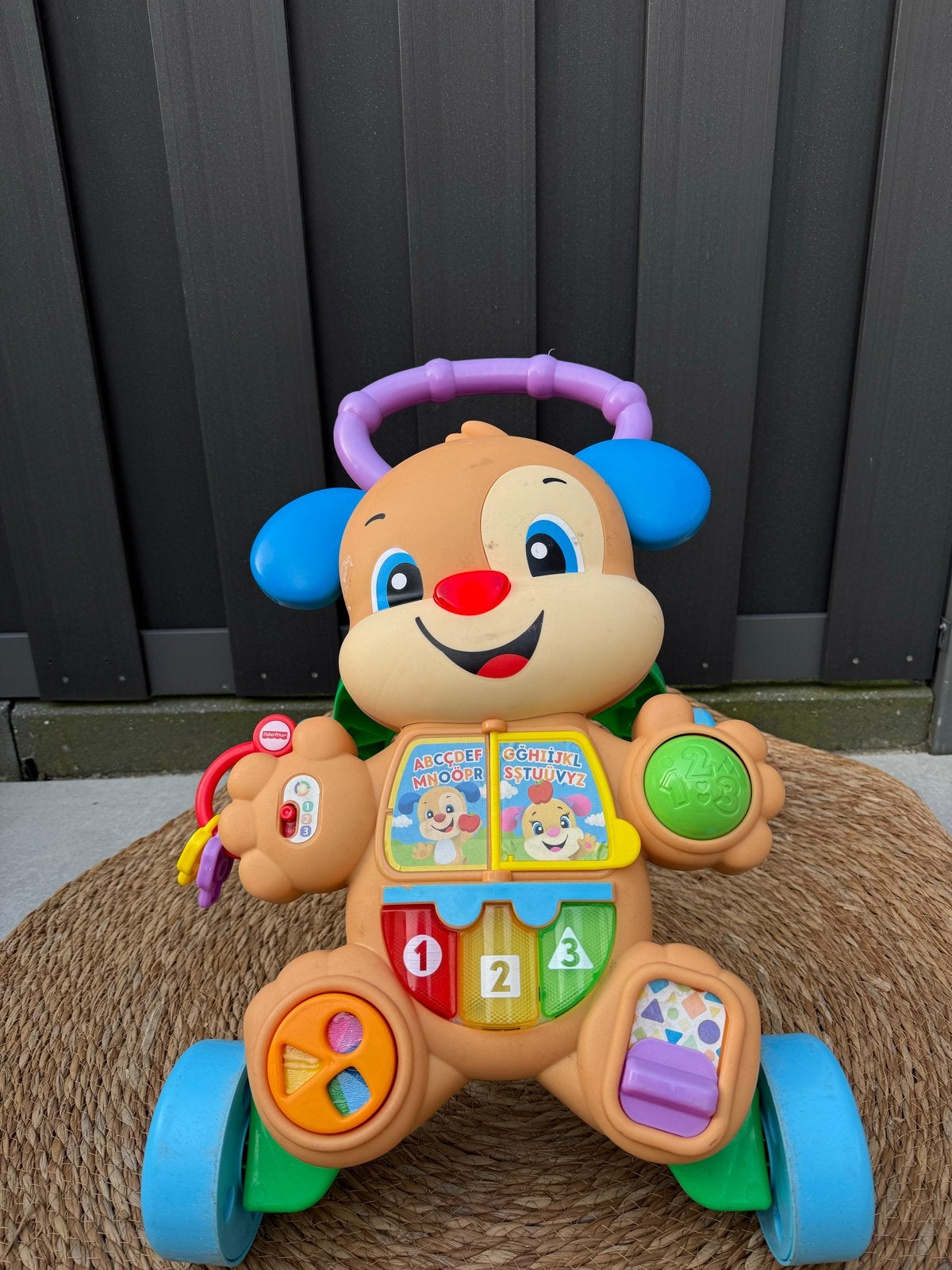 Fisher-Price Loopwagentje Hondje met Muziek en Licht, Ophalen, Gebruikt, Overige typen, Met licht