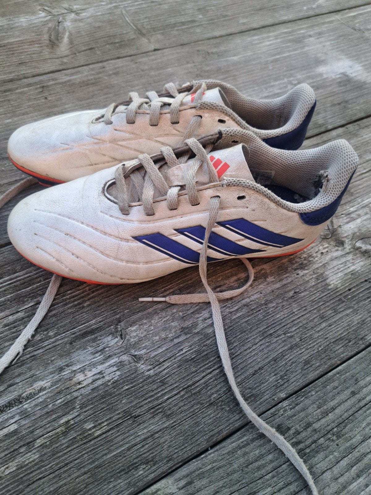 Adidas Copa Pure voetbalschoenen - Maat 36, Sport en Fitness, Maat XS of kleiner, Ophalen, Gebruikt, Schoenen