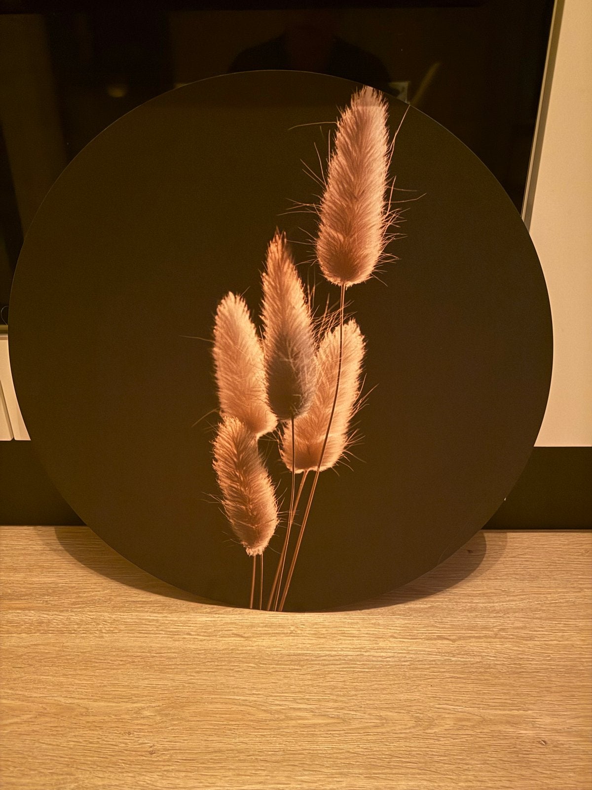 Wandcirkel met pluimen print, Meerkleurig, Ophalen of Verzenden, Zo goed als nieuw, Wandcirkel
