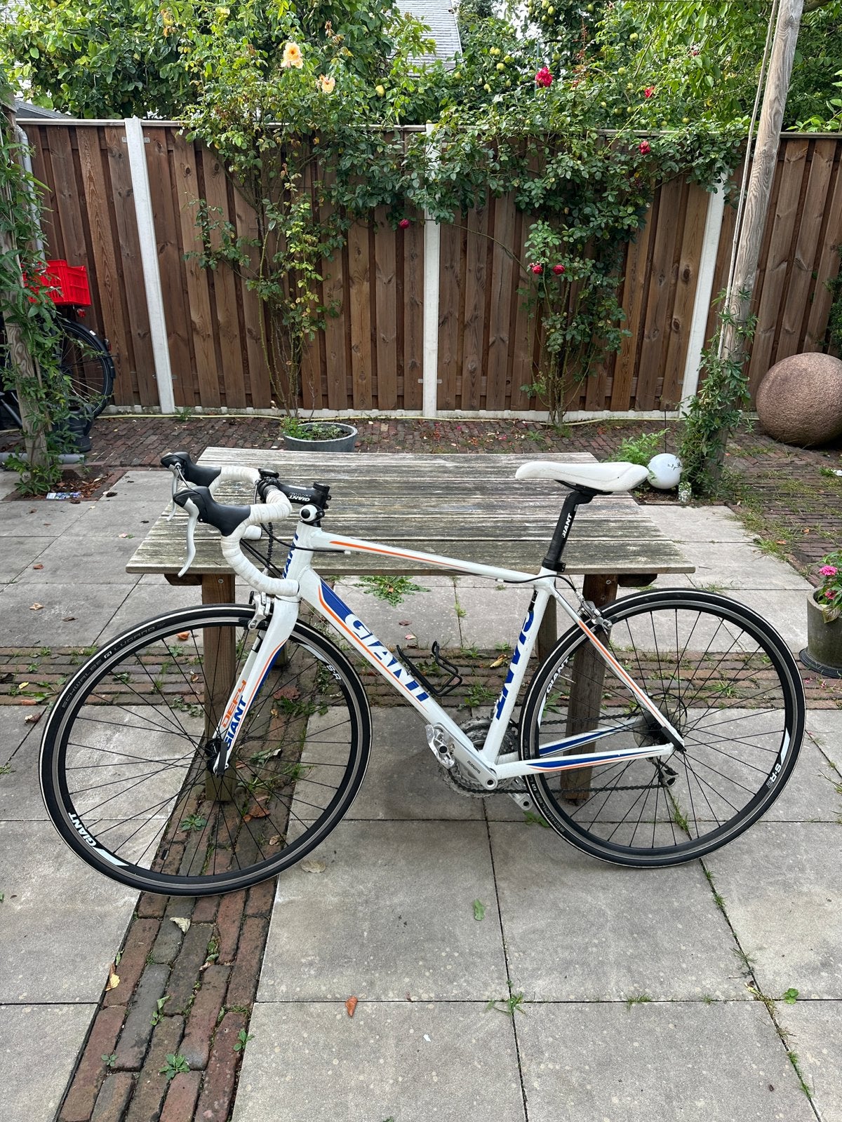Giant defy 3 aluxx rijklaar (maat M), Ophalen, Giant, Zo goed als nieuw, Meer dan 20 versnellingen