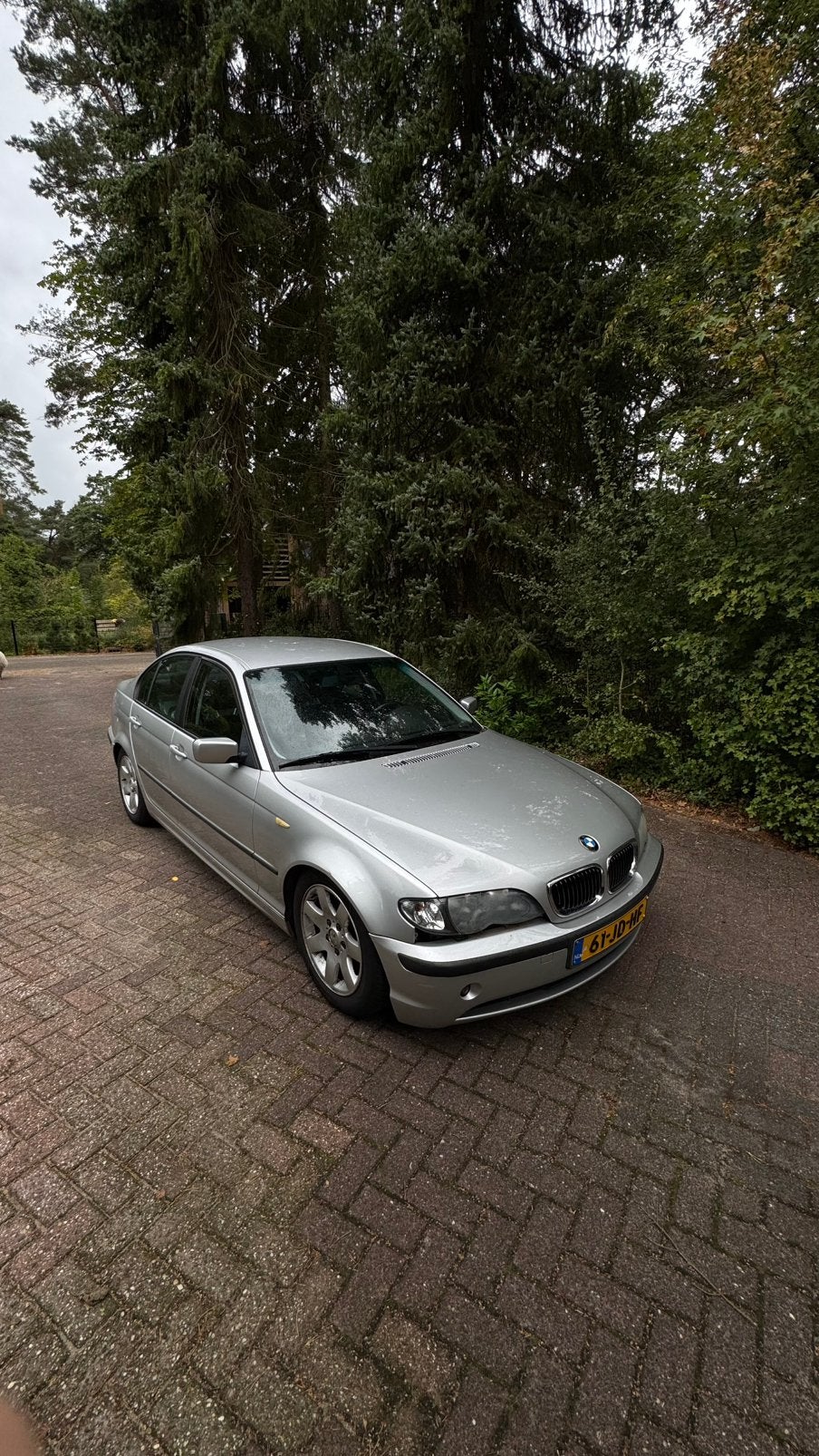 BMW E46 318i Facelift – Projectauto met nieuwe schroefset, 1995 cc, Handgeschakeld, Particulier, Sedan