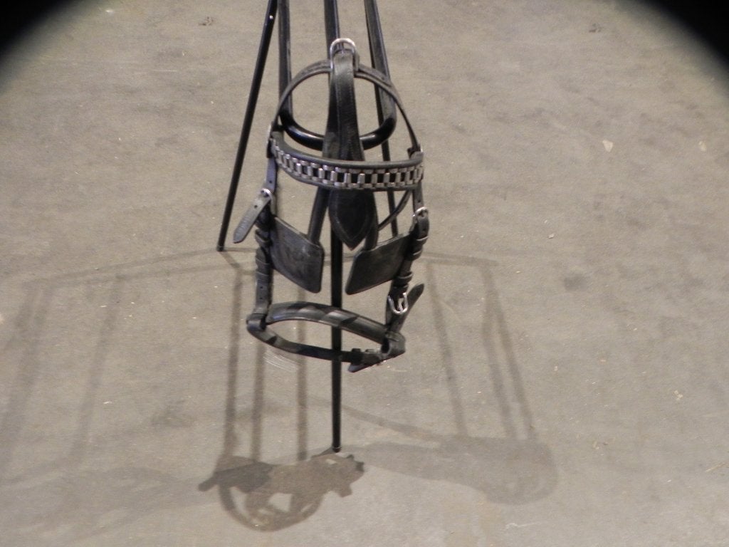 Hoofdstel pony, Ophalen, Recreatie, Pony, Zwart