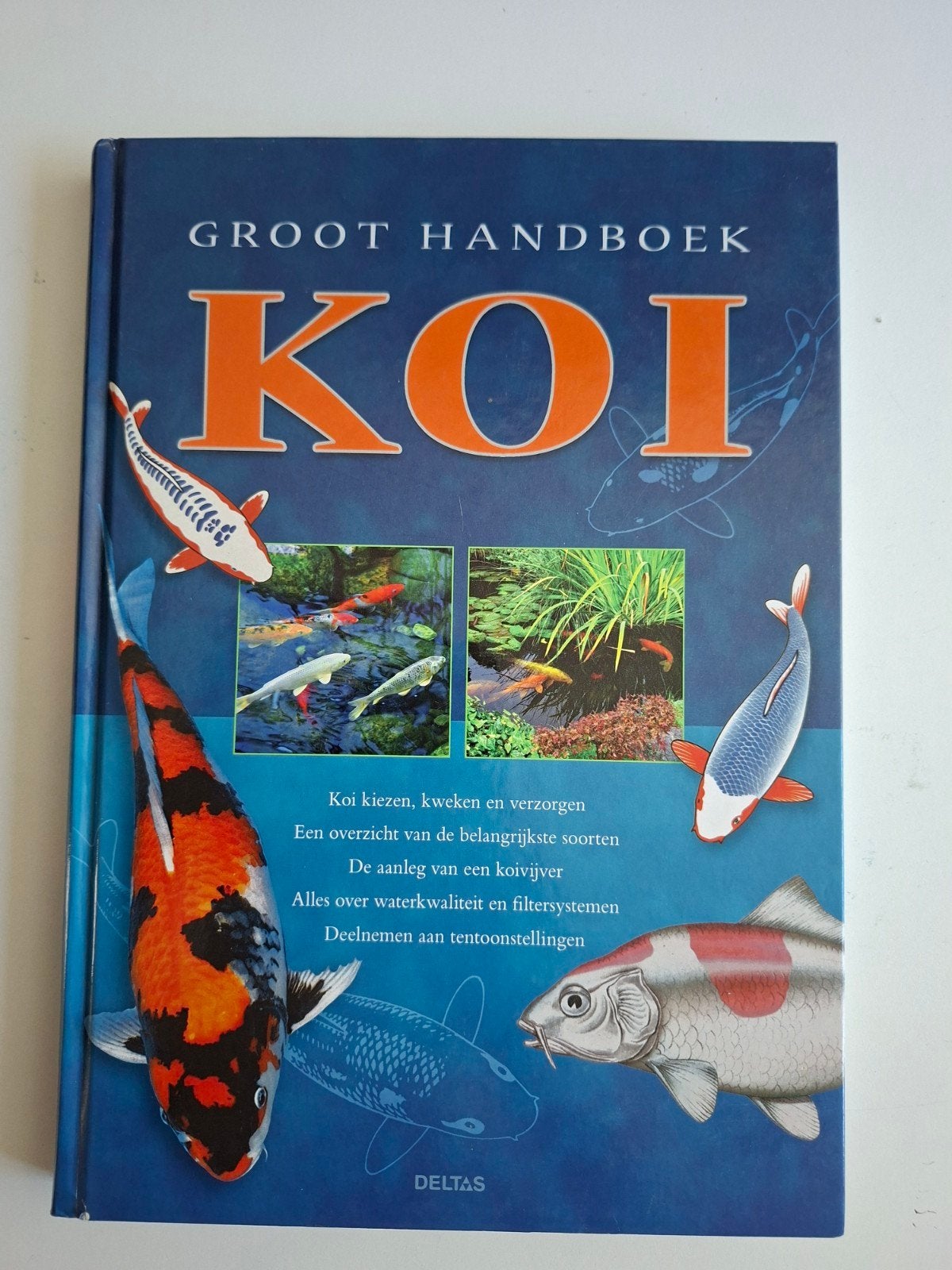 Groot Handboek KOI - Alles over koi vissen, Ophalen of Verzenden, Gelezen, Overige onderwerpen, Onbekend