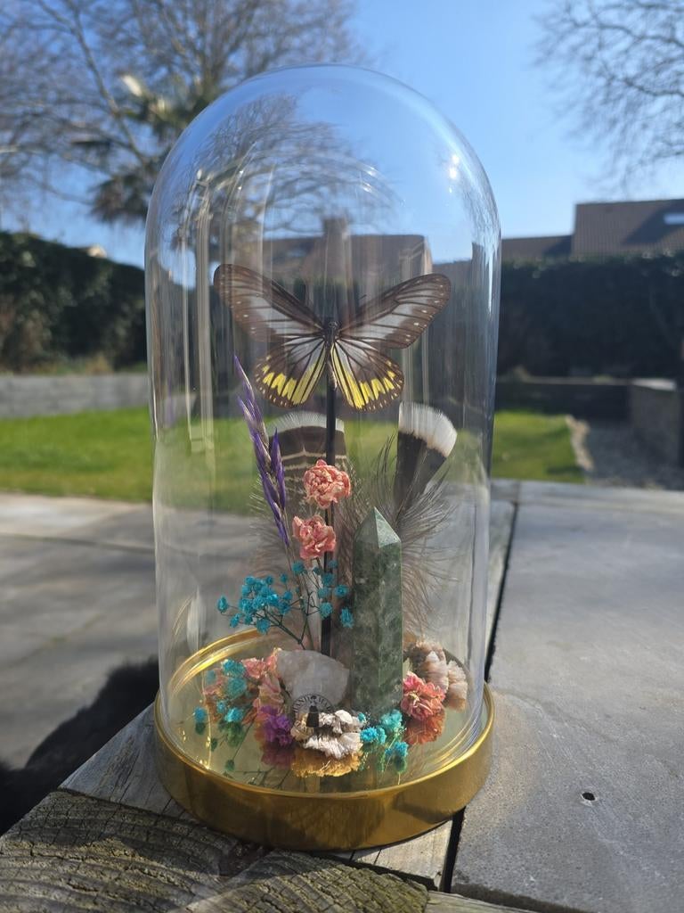Vlinder stolp met edelstenen en droogbloemen, Ophalen of Verzenden