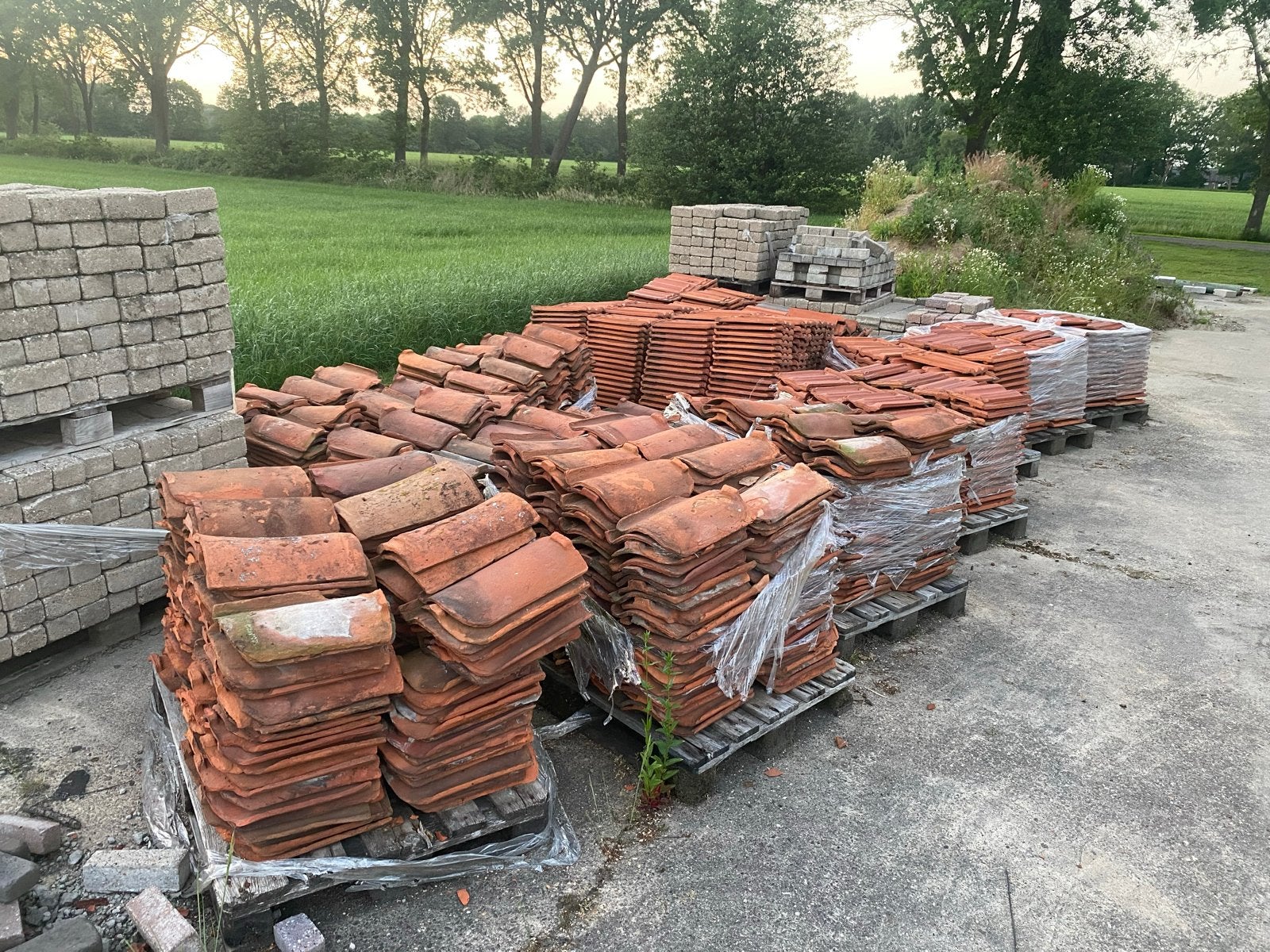 Gebruikte dakpannen, oud hollands ca 1100 stuks, Ophalen, Gebruikt, Steen of Klei, 15 m² of meer