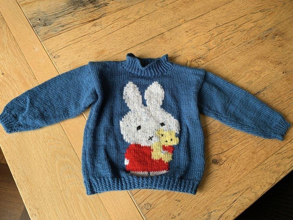 Truitje met afbeelding Nijntje maat 86, Ophalen of Verzenden, Zo goed als nieuw, Jongetje of Meisje, Truitje of Vestje