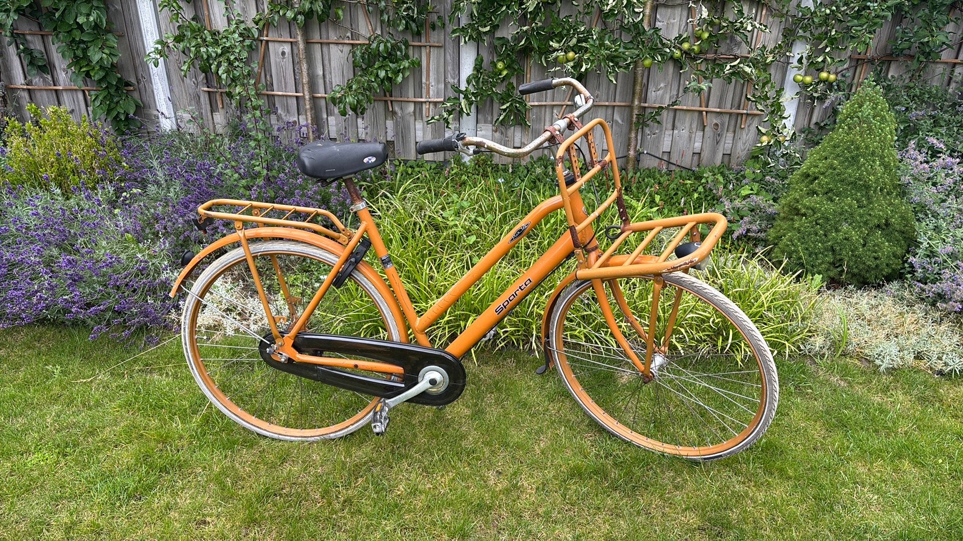 Sparta pick up, Fietsen en Brommers, Fietsen | Oldtimers, 51 tot 55 cm, Ophalen, Terugtraprem, Jaren '60 of nieuwer