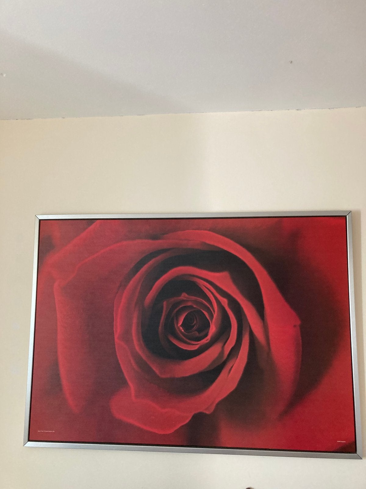 Schilderij met rode roos 140x 100 cm nieuw, Ophalen, Nieuw, Schilderij