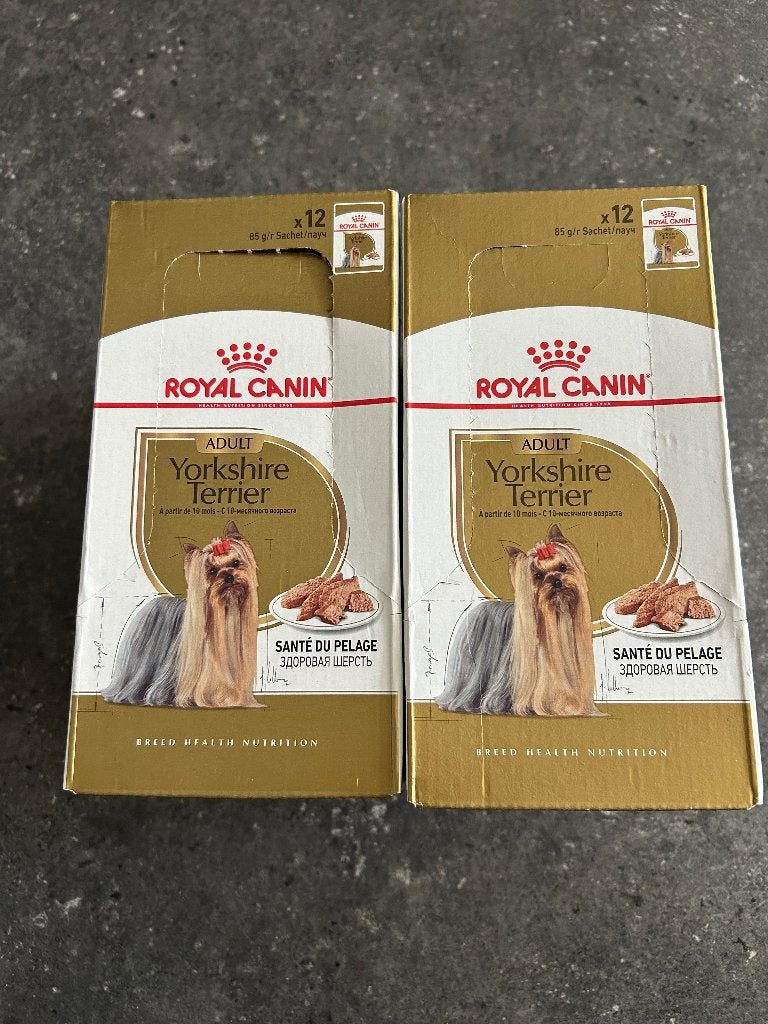 Royal Canin Yorkshire Terriër, Ophalen of Verzenden, Hond