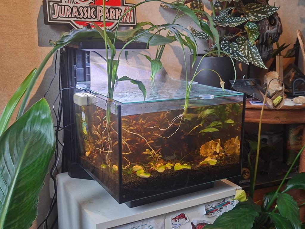 Superfish Qubiq 20 aquarium, Ophalen, Zo goed als nieuw, Leeg aquarium