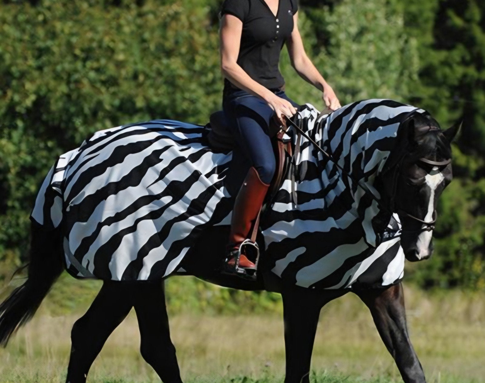 Bucas Zebra vliegen-uitrijdeken 145/198 cm – 0 grams, Dieren en Toebehoren, Paarden en Pony's | Dekens en Dekjes, Ophalen of Verzenden