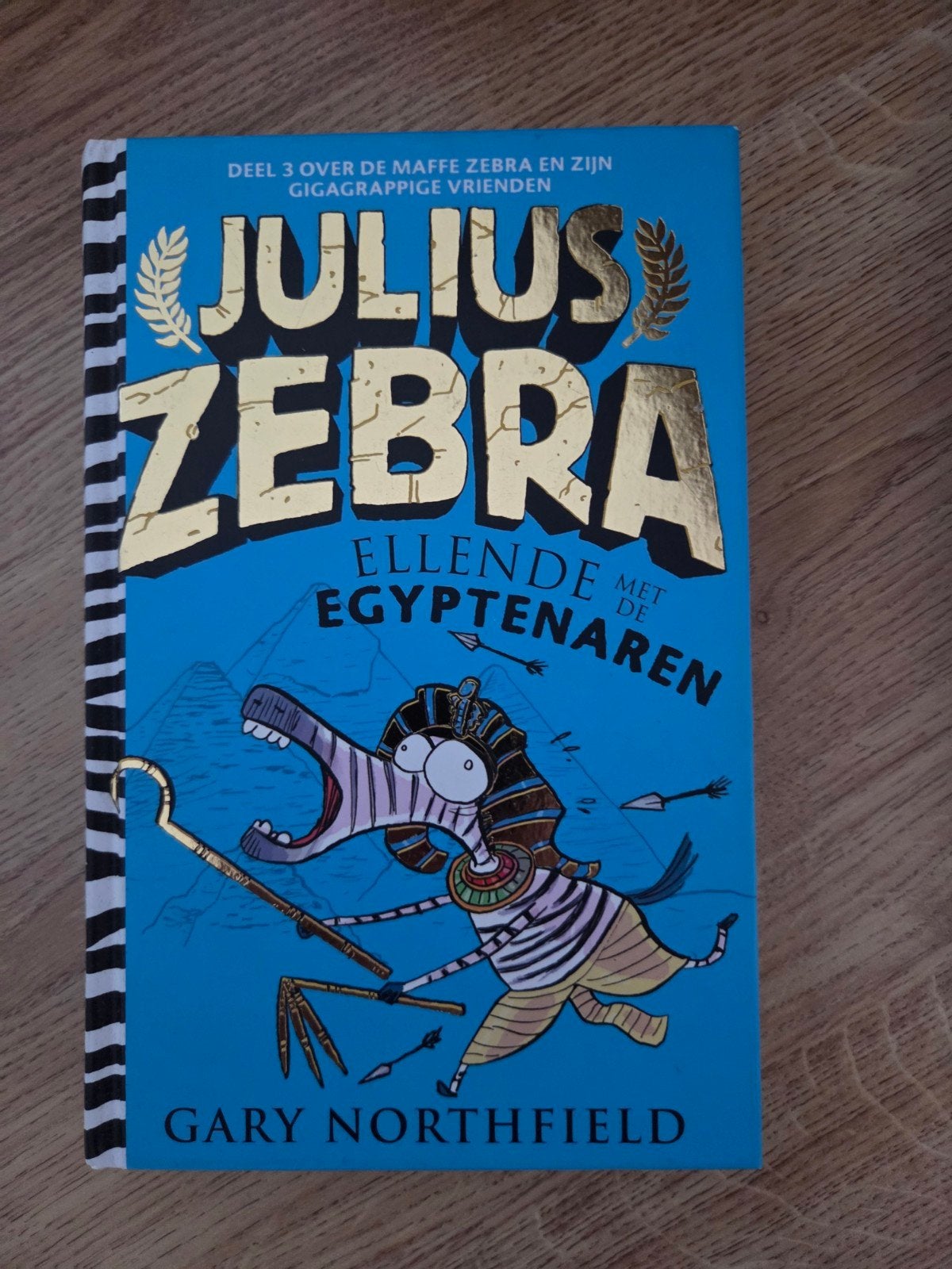 Julius Zebra: Ellende met de Egyptenaren - Gary Northfield, Ophalen of Verzenden, Zo goed als nieuw, Gary Northfield, Fictie