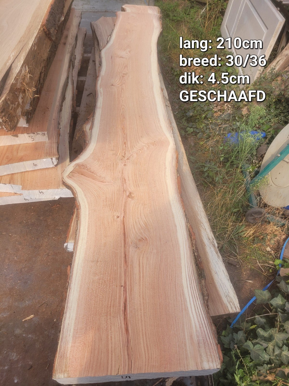 schaaldeel boomplank wandplank vensterbank TAXUS GESCHAAFD, Ophalen of Verzenden, Nieuw, 180 tot 250 cm, Palen