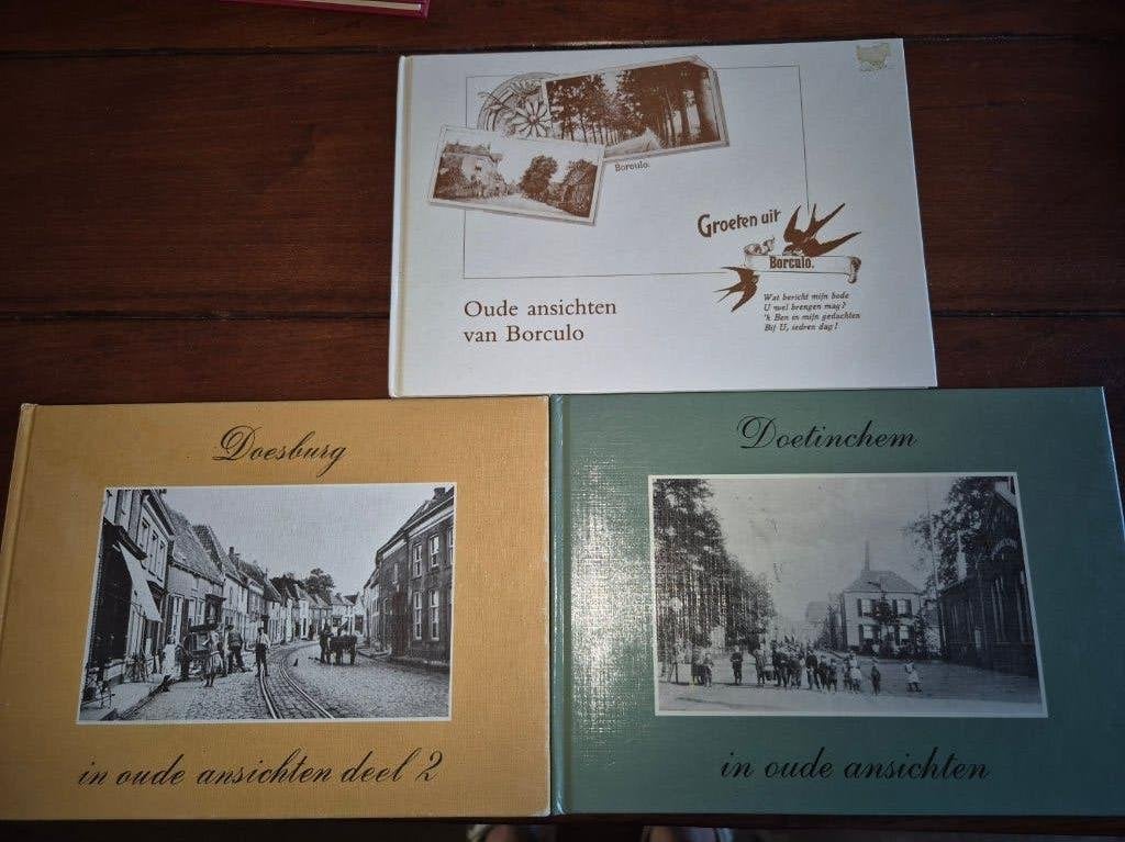 Ansichten Borculo - Doesburg - Doetinchem, Boeken, Geschiedenis | Stad en Regio, Ophalen of Verzenden, Zo goed als nieuw