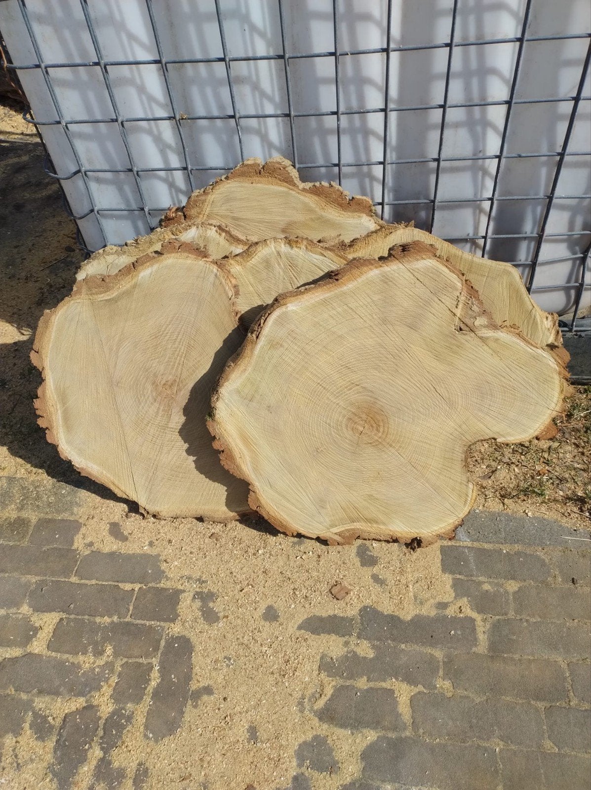 Houten schijven acacia schijven houten schijven boomschijven, Ophalen, Nieuw