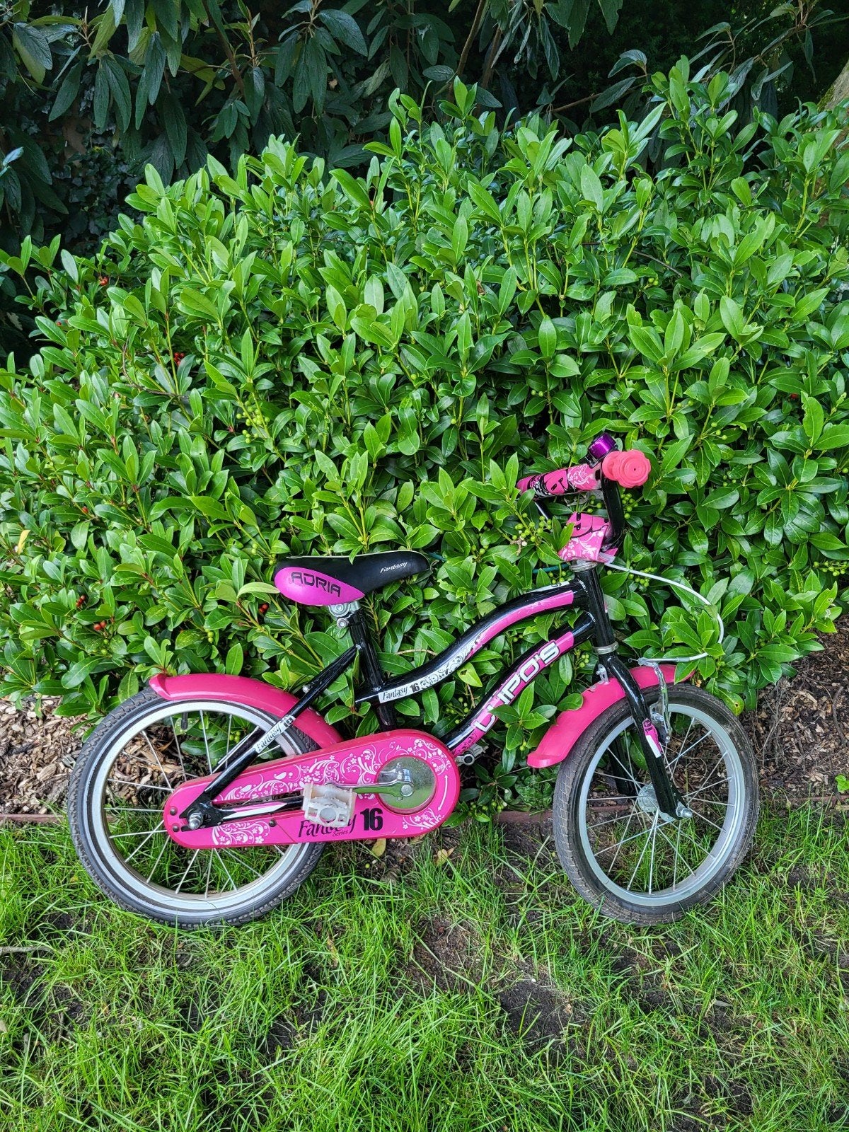 Roze kinderfiets 16 inch, Fietsen en Brommers, Ophalen, Gebruikt, 16 tot 20 inch