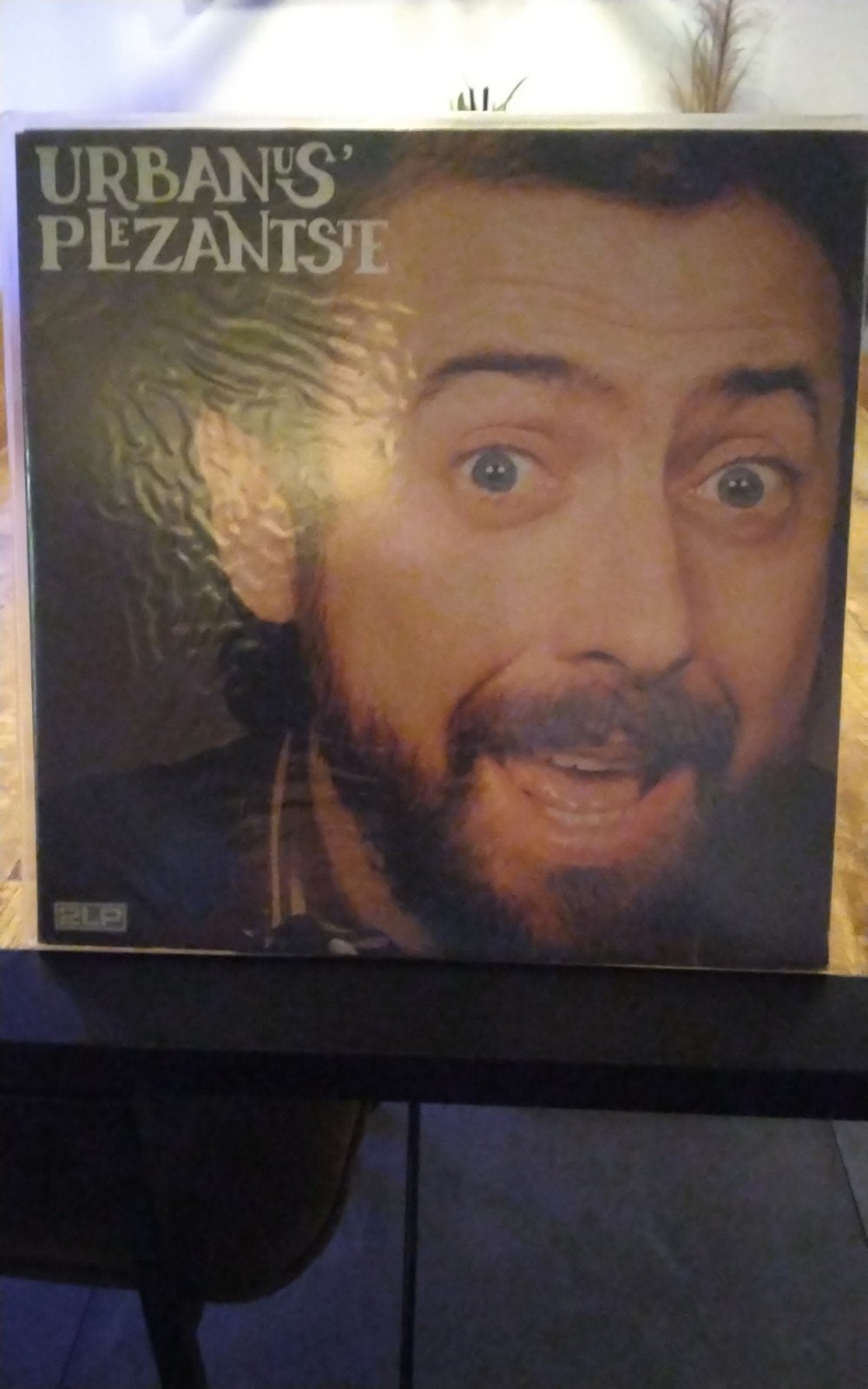 Elpees Te Koop, Beschermende buitenhoes, Ophalen of Verzenden, Gebruikt, 12 inch
