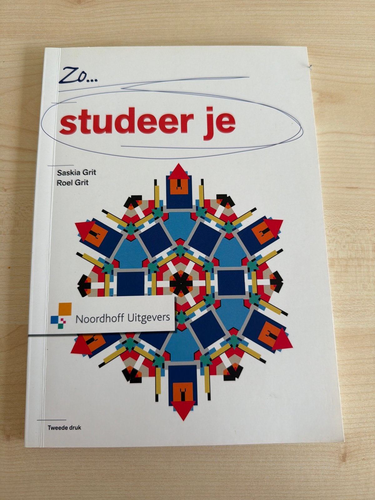 Zo... studeer je - Saskia Grit & Roel Grit (Tweede druk), Ophalen of Verzenden, Zo goed als nieuw, HBO