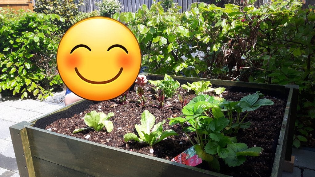 Kweekbak moestuin kinderen, Tuin en Terras, Kweekspullen, Ophalen, Kweekbak